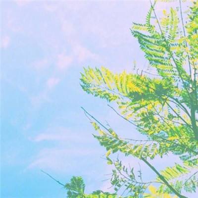 爆爆传说手游下载